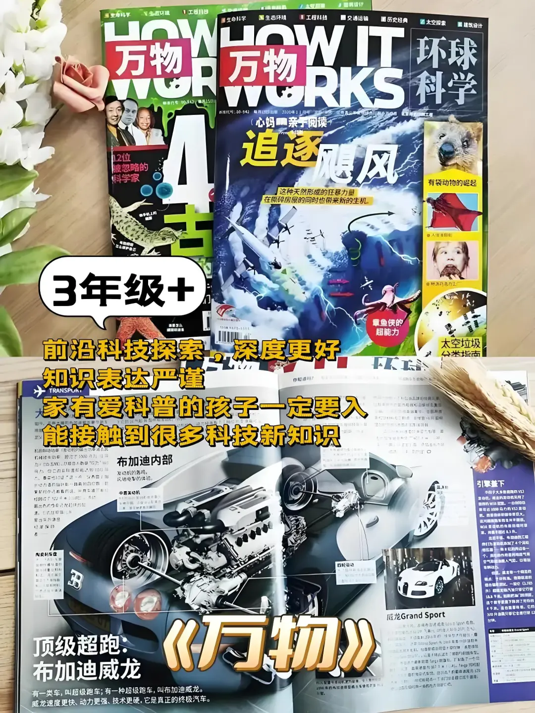 中小学学霸都在读的杂志