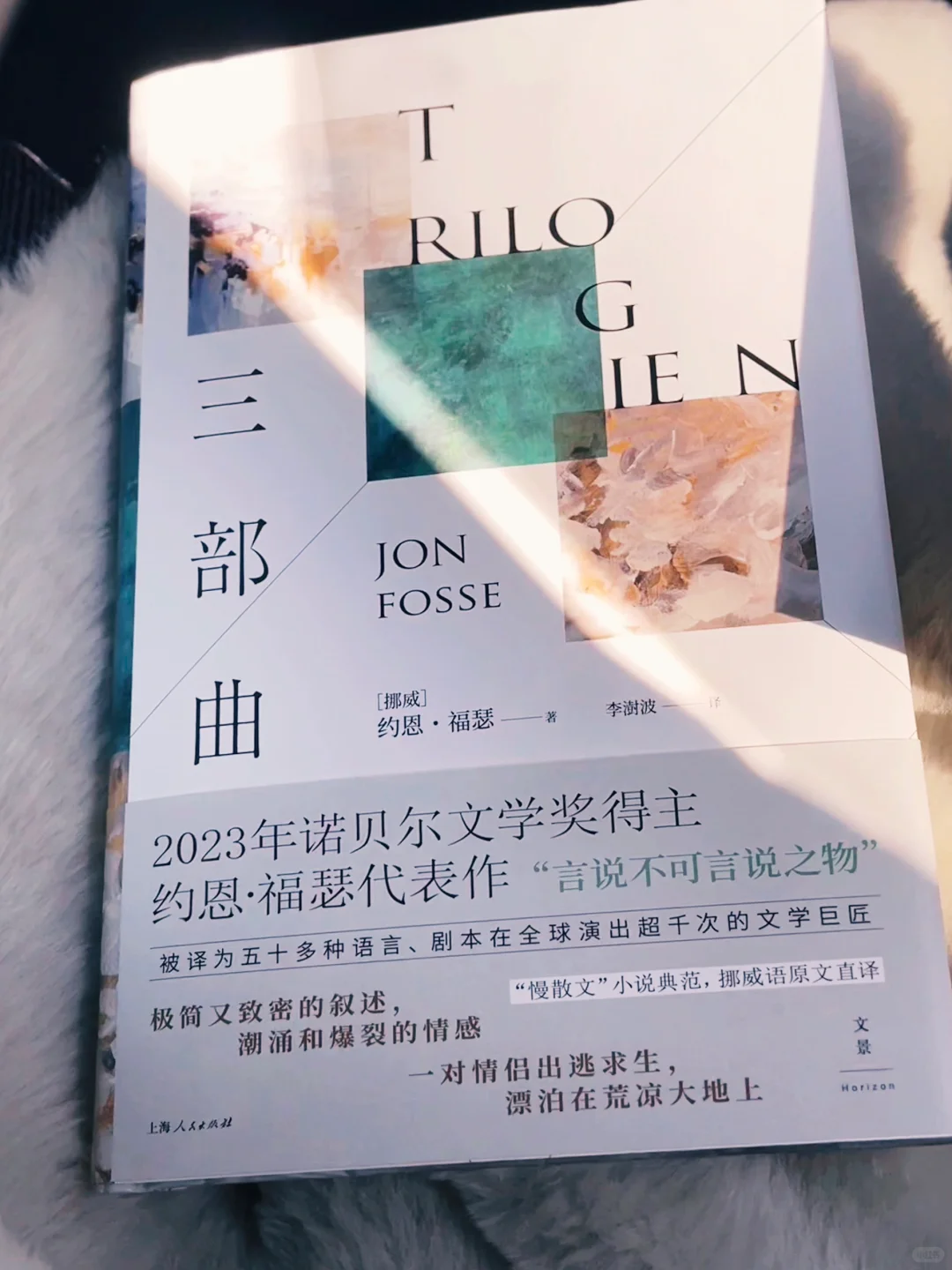获2023诺奖的北欧文学，有种神性般的清冷