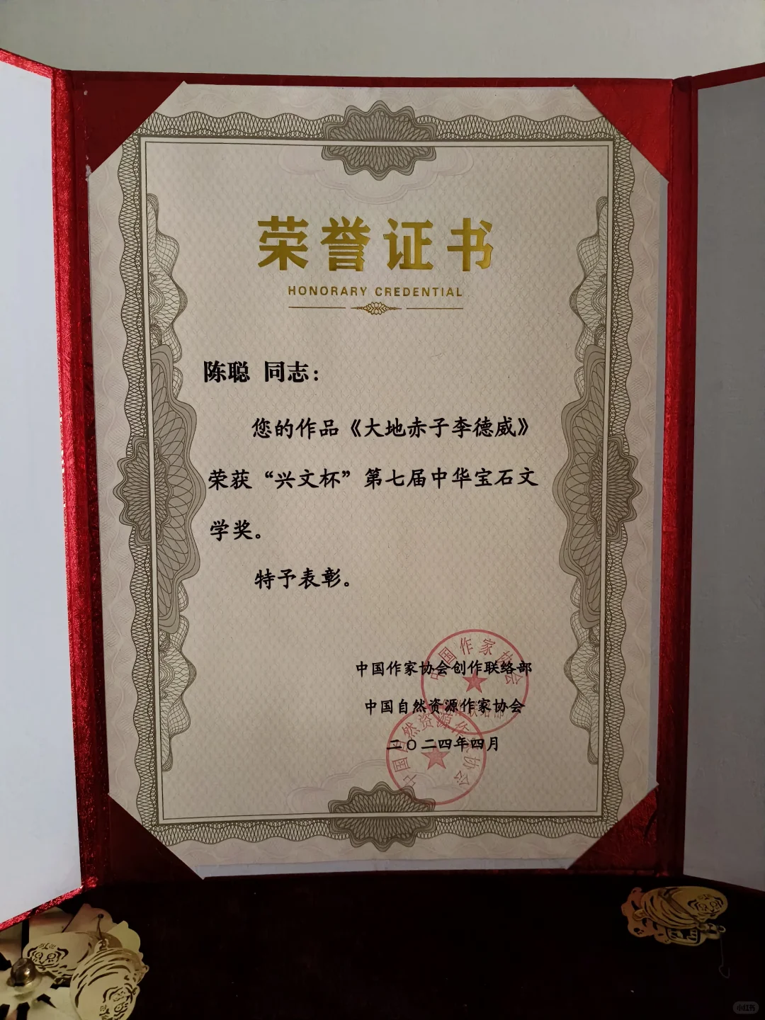 2024报告文学作品获奖❣️
