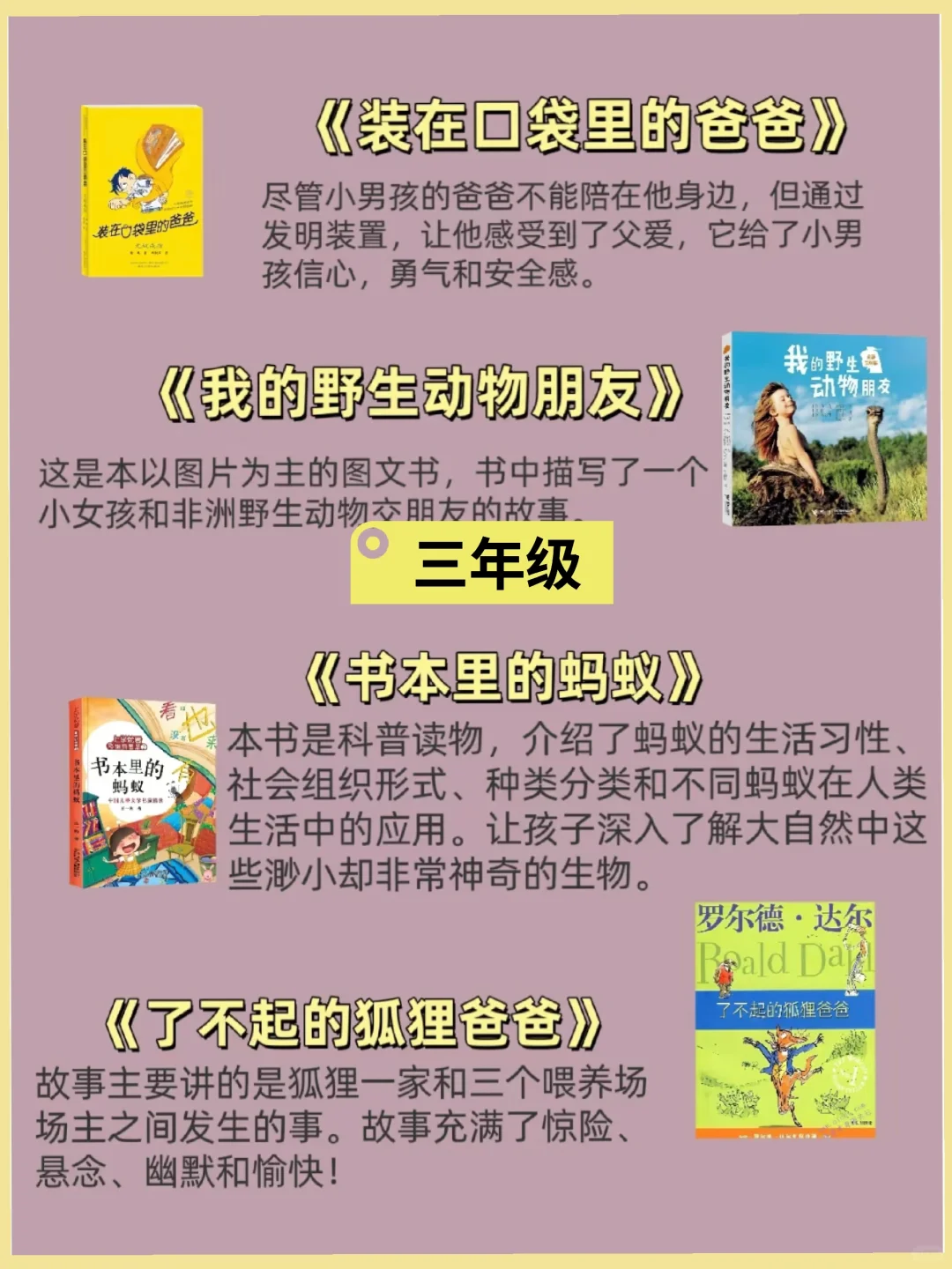小学必读书目推荐❗️