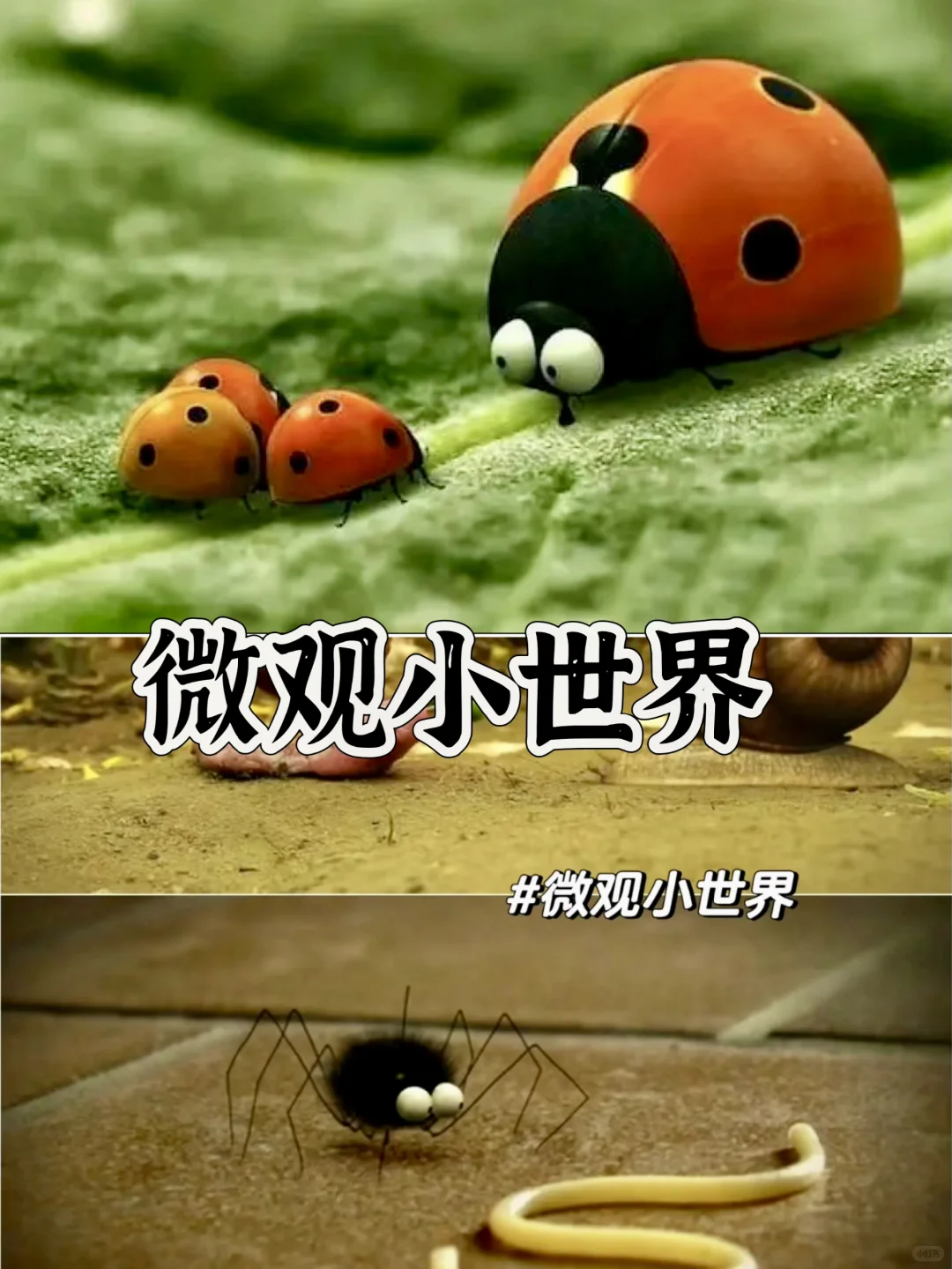 央视力荐‼️这才是让孩子暴涨知识的动画片