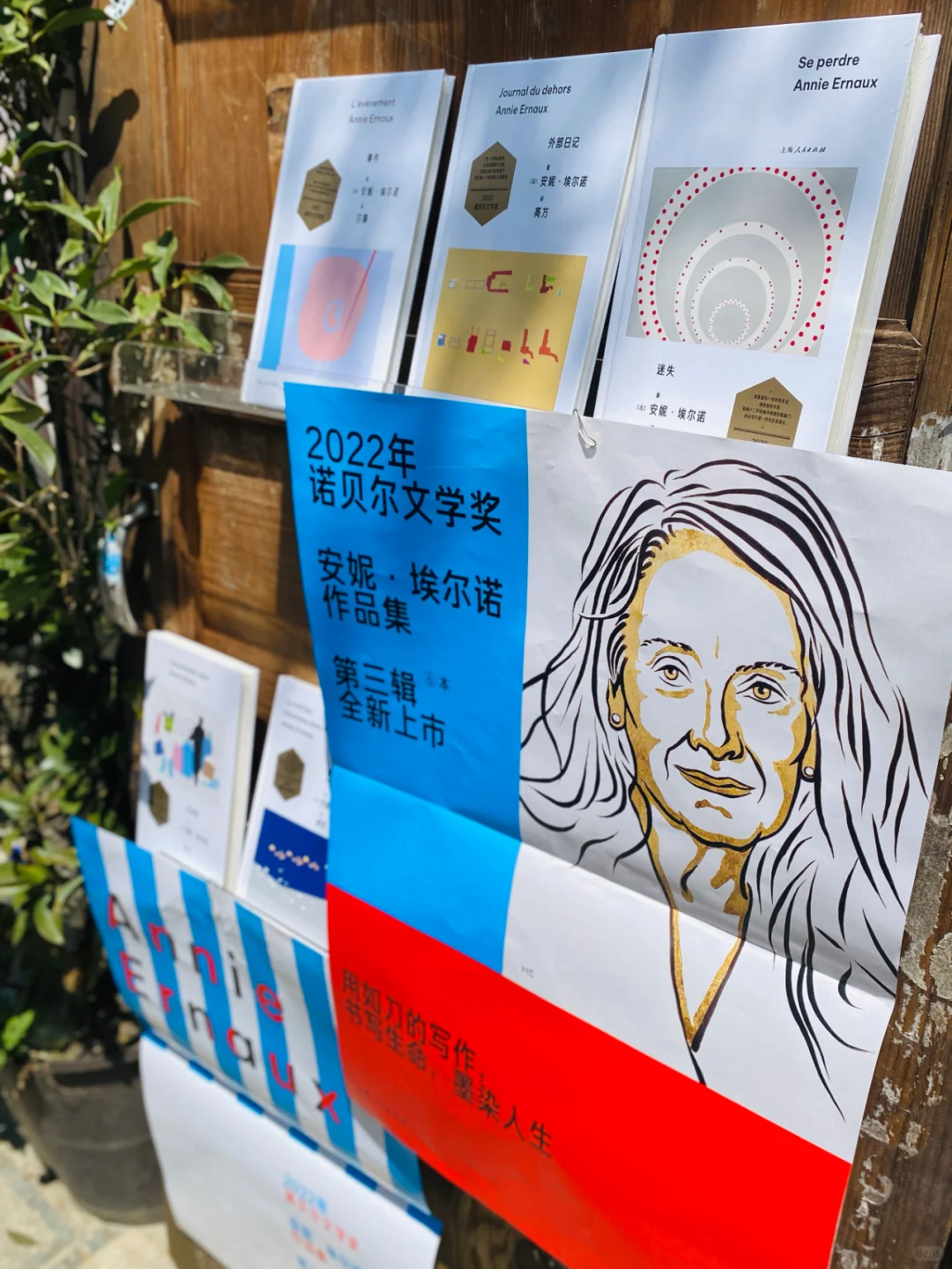 诺贝尔文学奖得主安妮·埃尔诺作品集第三辑
