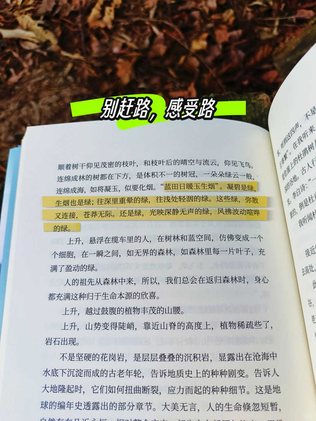 不愧是茅盾文学奖史上最年轻的得主!
