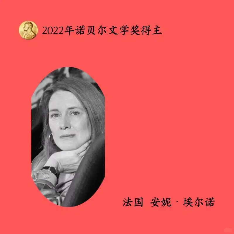 诺贝尔文学奖得主安妮·埃尔诺作品集第三辑