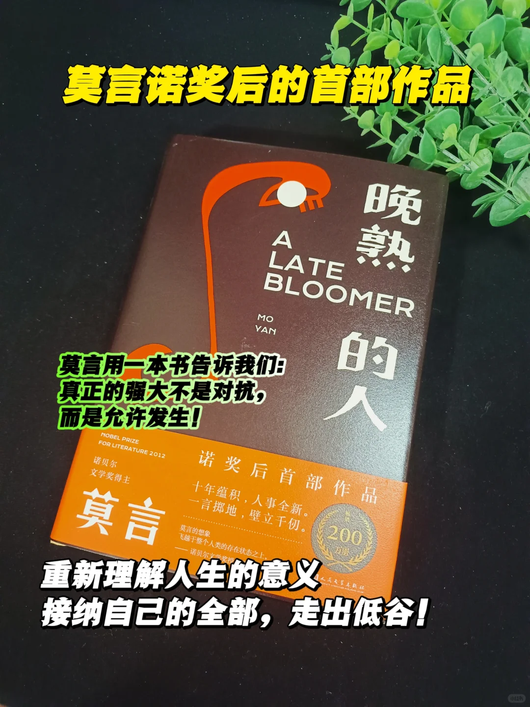 莫言老师获得诺贝尔文学奖后的首部作品!