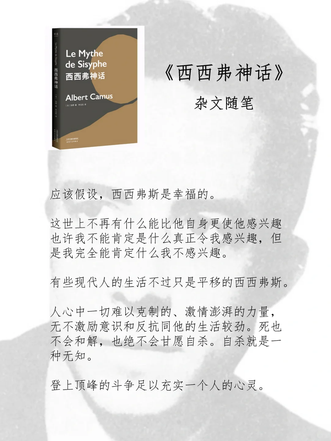 从读诺贝尔文学作品开始认识加缪
