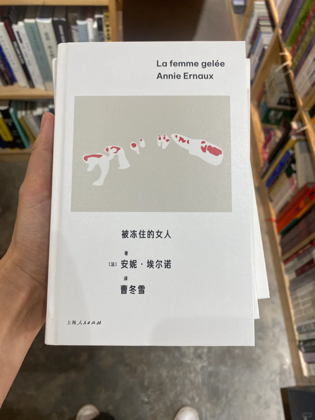 诺贝尔文学奖得主安妮·埃尔诺作品集第三辑