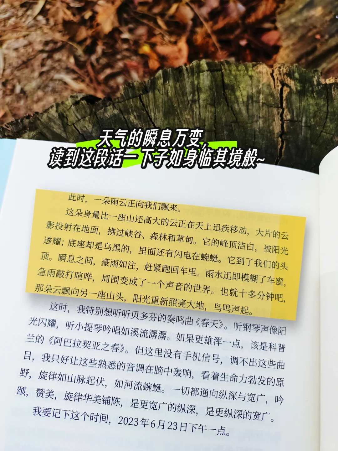 不愧是茅盾文学奖史上最年轻的得主!
