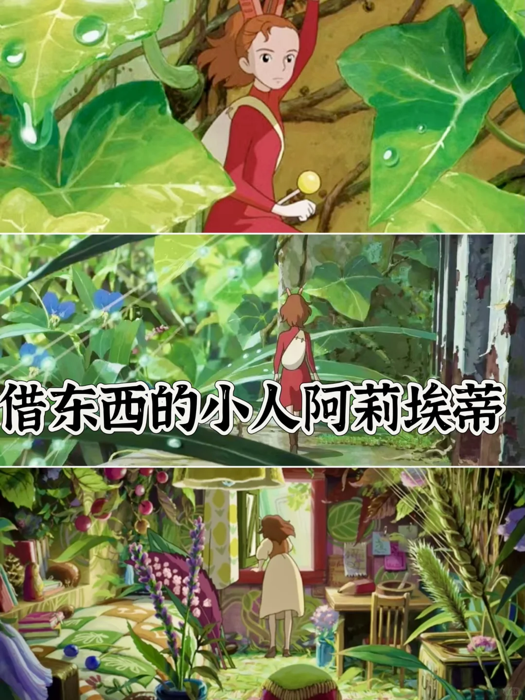央视力荐‼️这才是让孩子暴涨知识的动画片