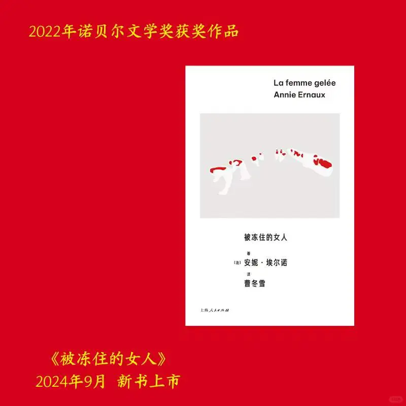 诺贝尔文学奖得主安妮·埃尔诺作品集第三辑