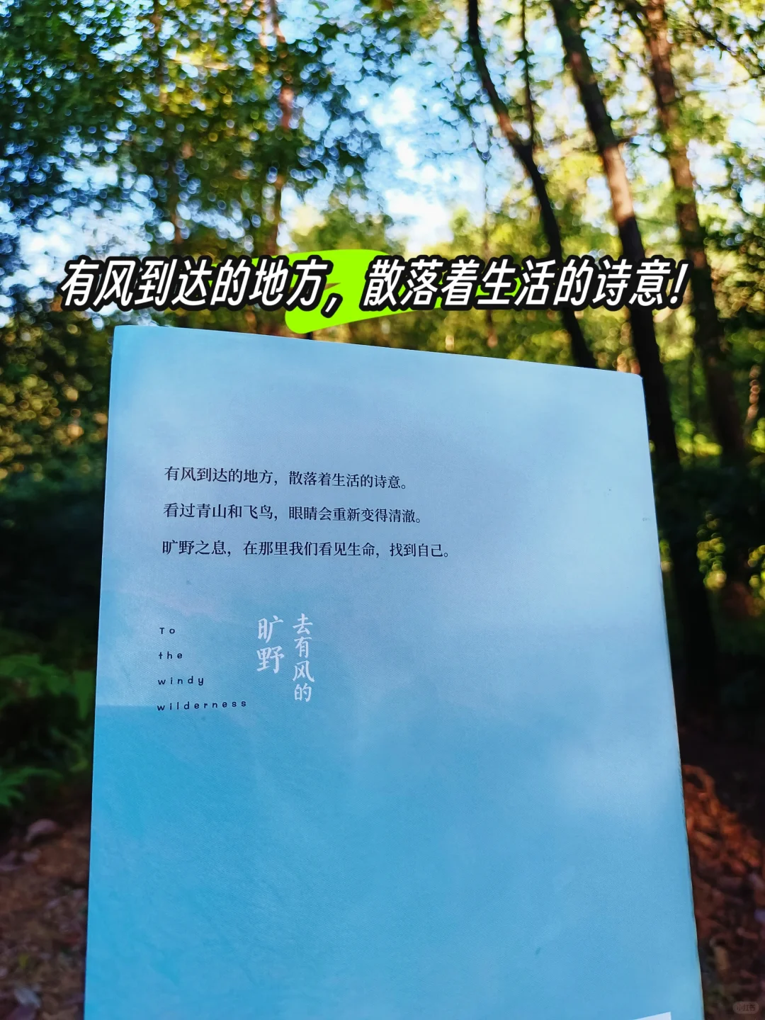 不愧是茅盾文学奖史上最年轻的得主!