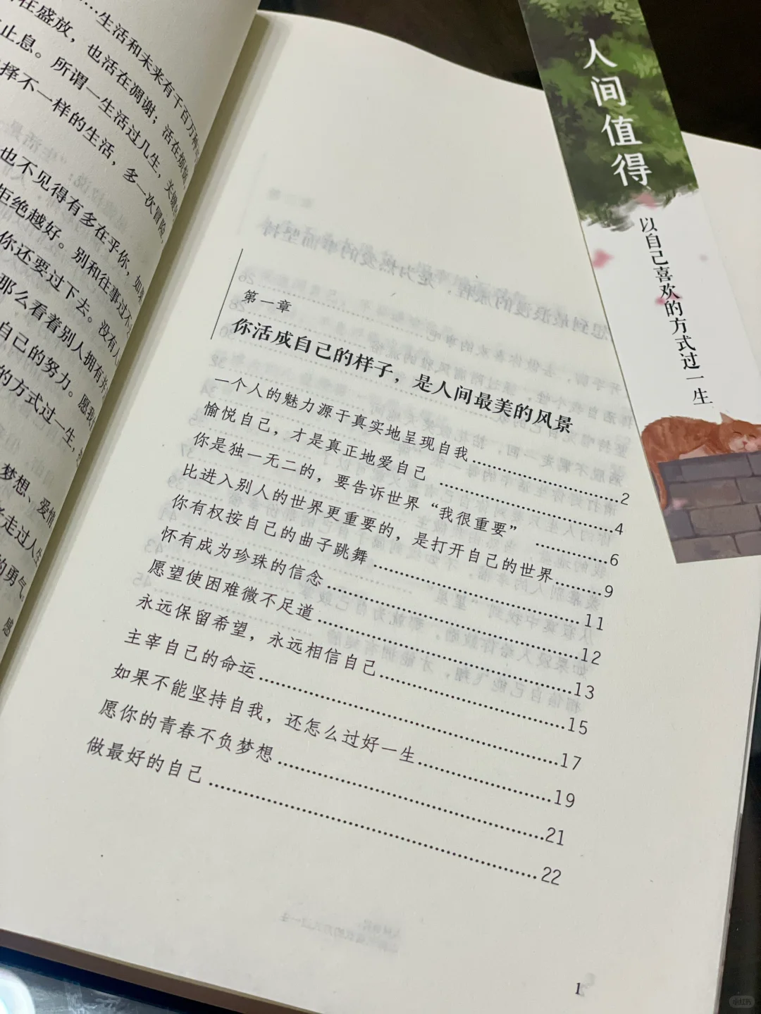今日推荐一书“人间值得”，很好看～