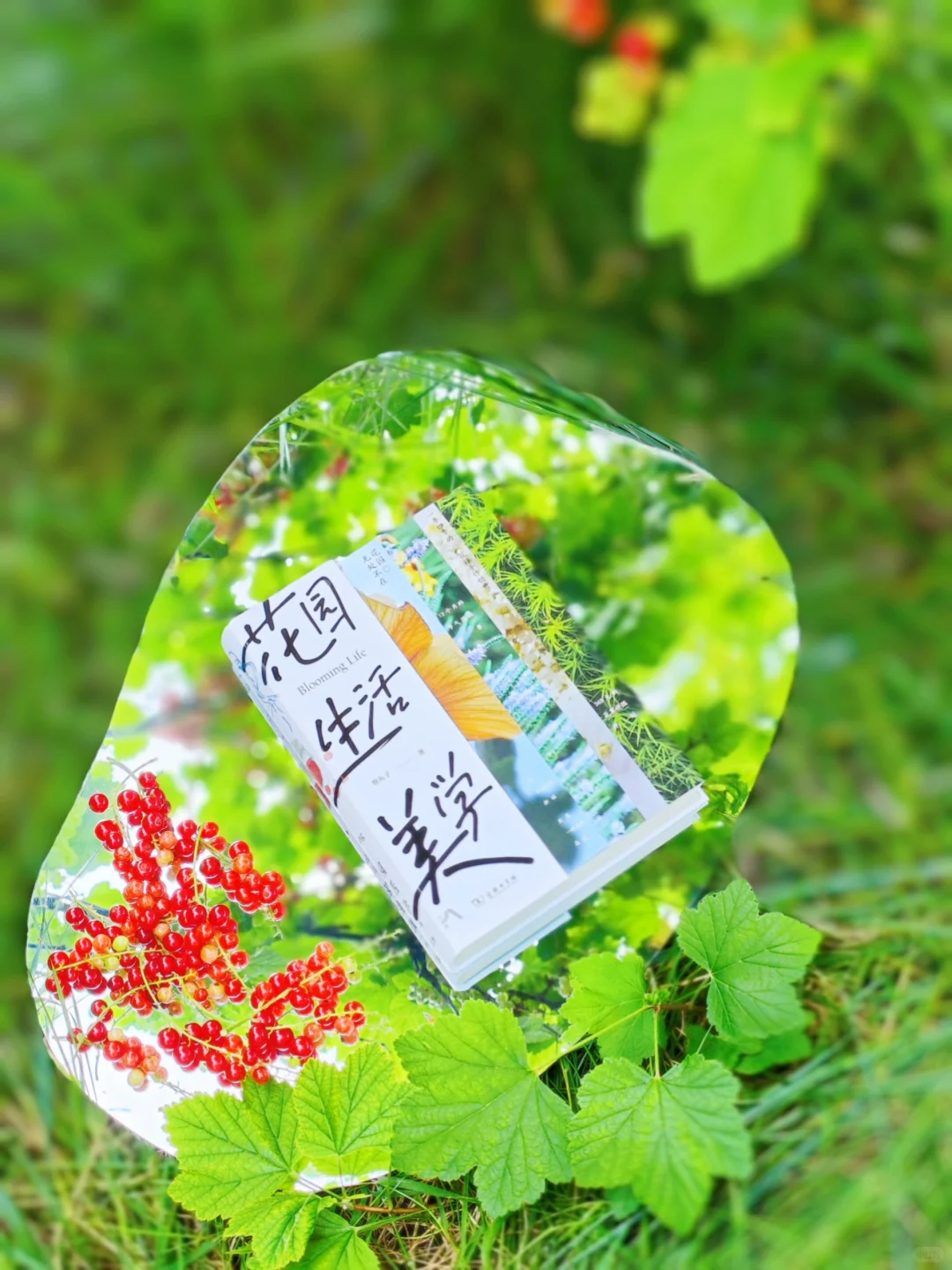 初夏，初见，我的新书