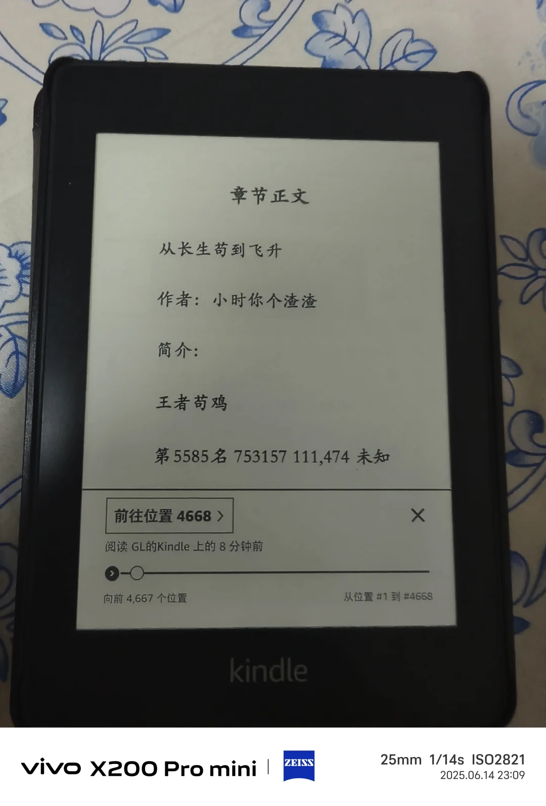 这本书导致我两个kindle都白屏