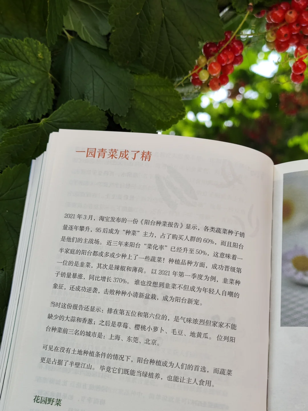 初夏，初见，我的新书