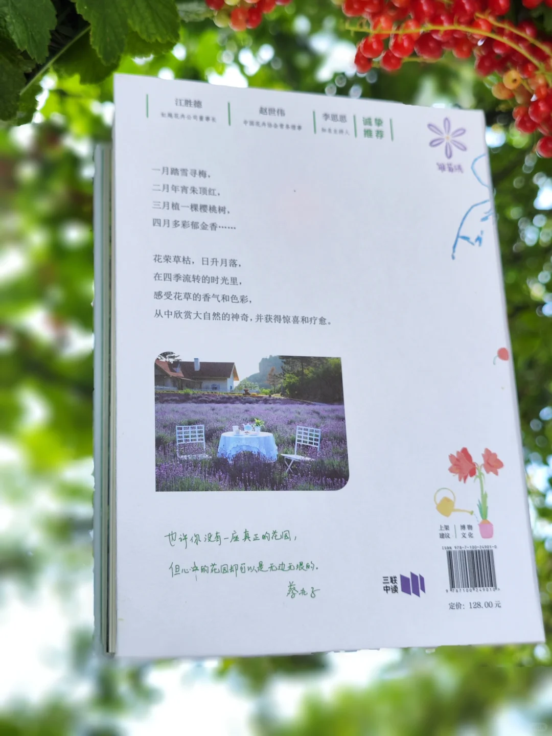初夏，初见，我的新书