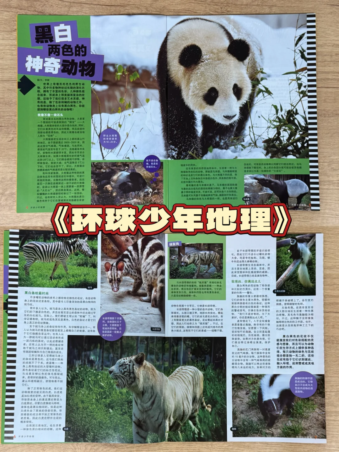 小学生杂志|✅只买对的，不买贵的👊