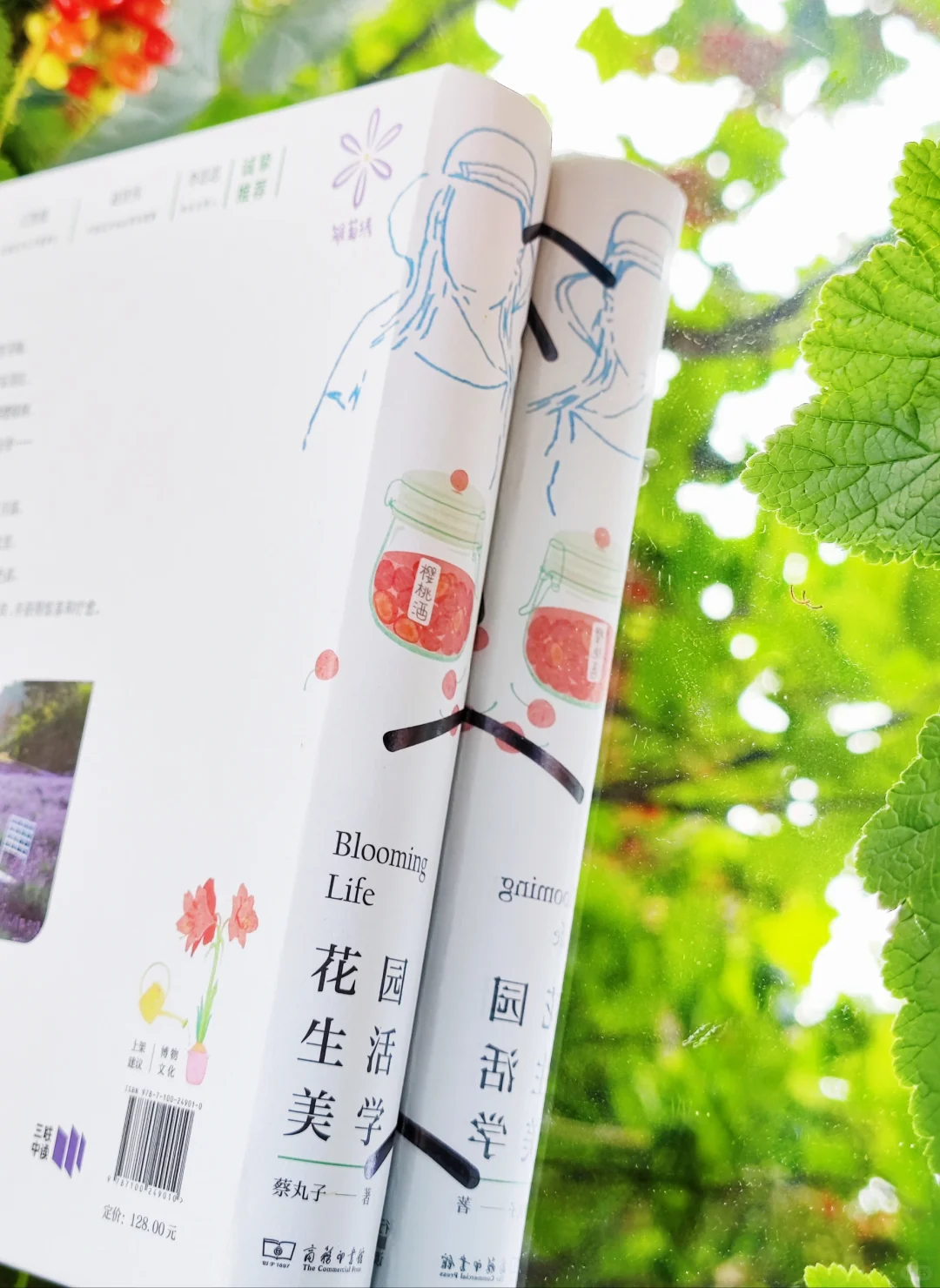 初夏，初见，我的新书