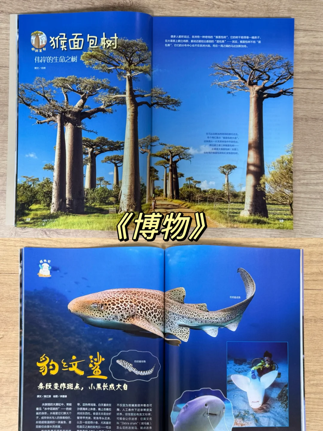小学生杂志|✅只买对的，不买贵的👊
