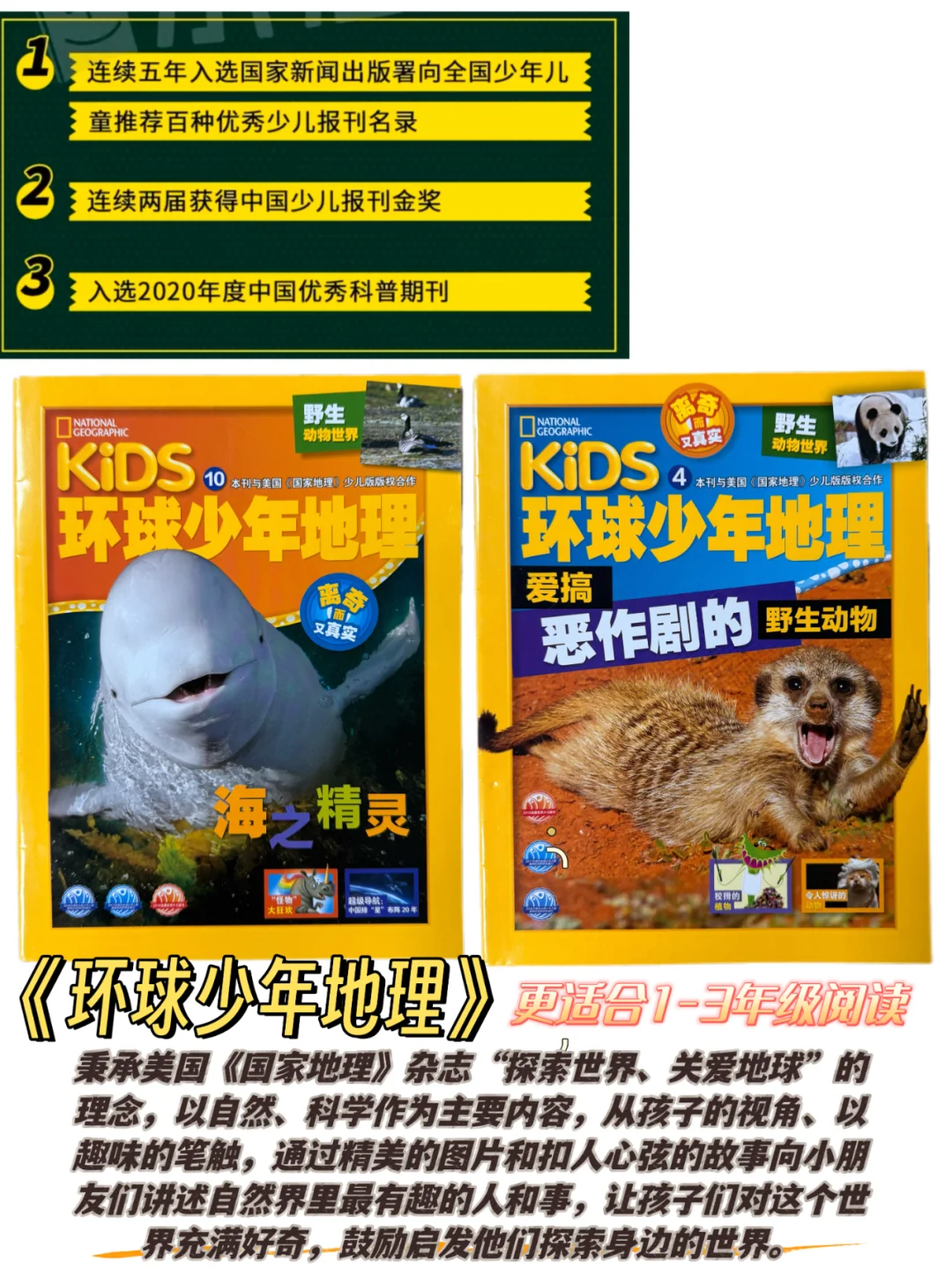 小学生杂志|✅只买对的，不买贵的👊