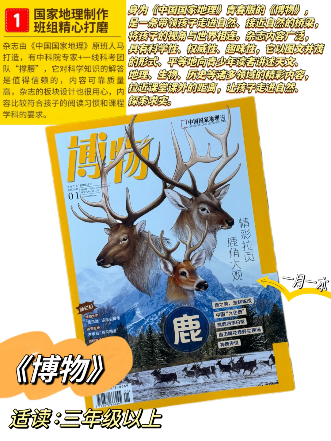 小学生杂志|✅只买对的，不买贵的👊
