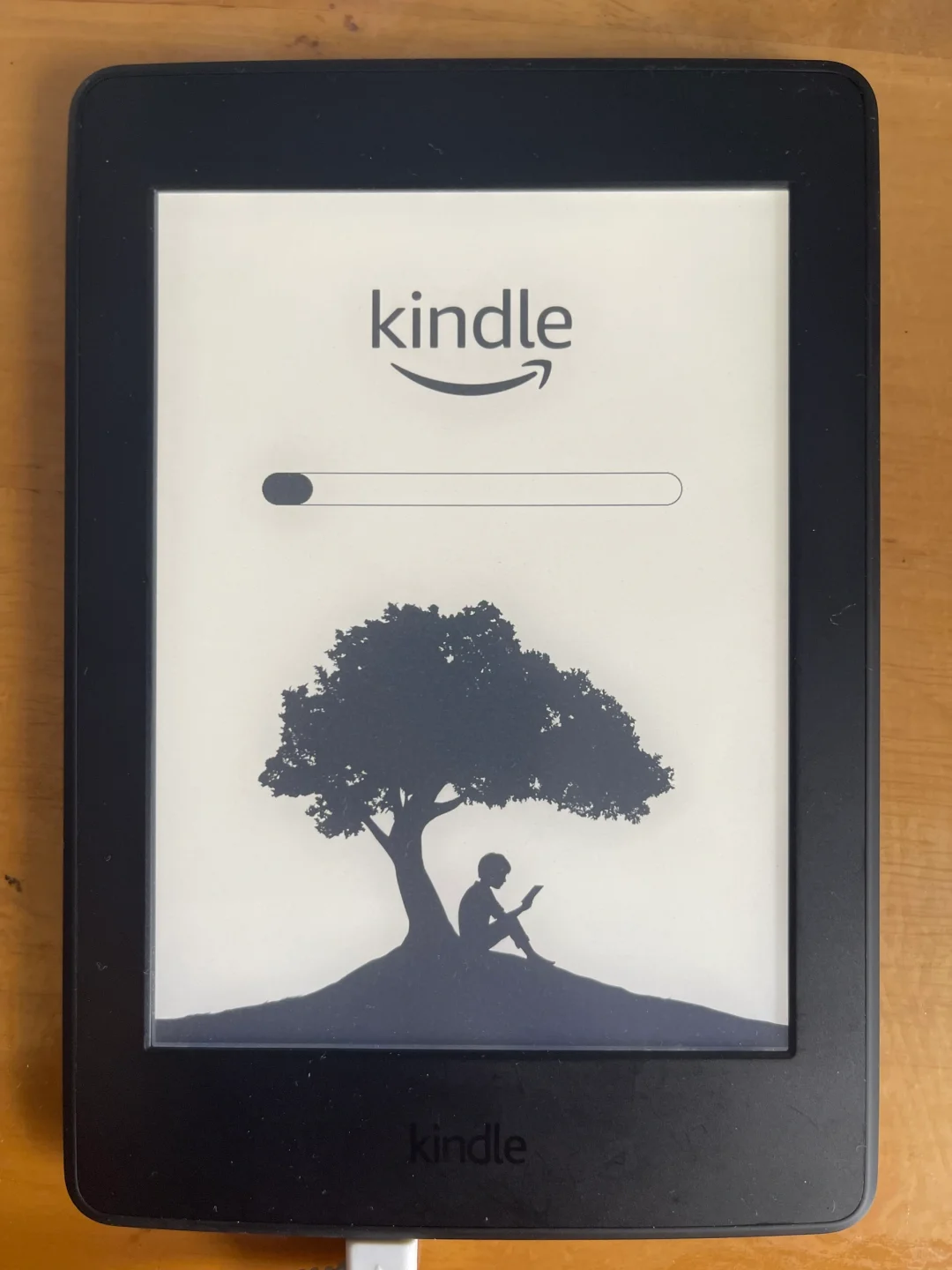 18年958买的kindle复活