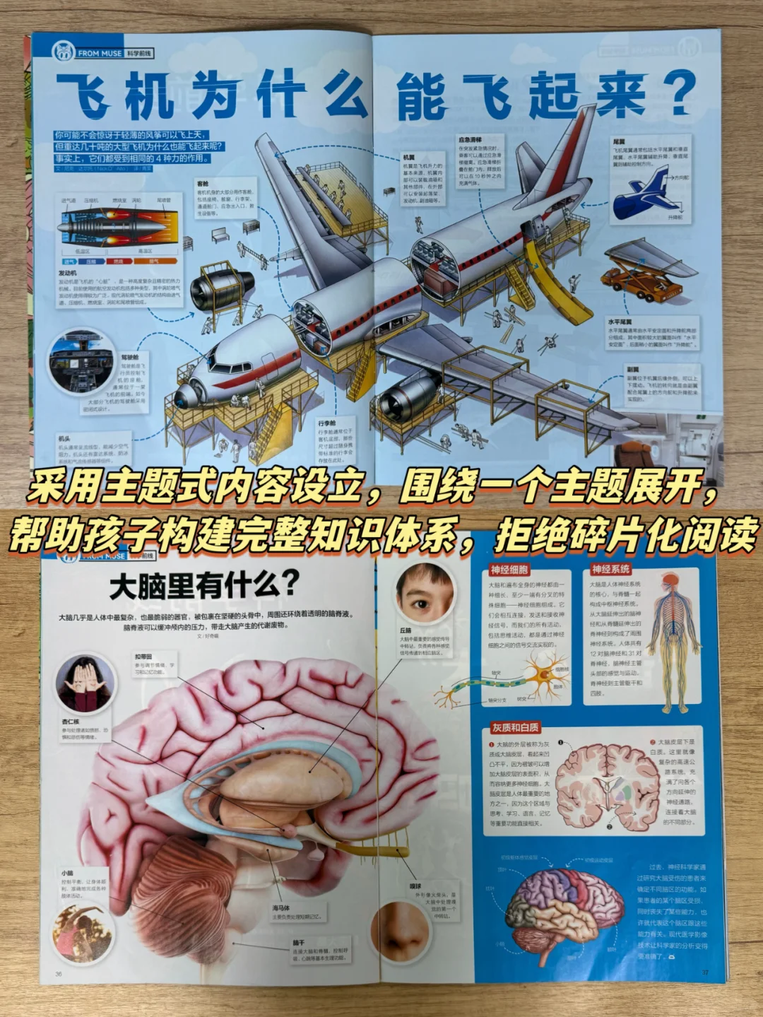 小学生杂志|✅只买对的，不买贵的👊
