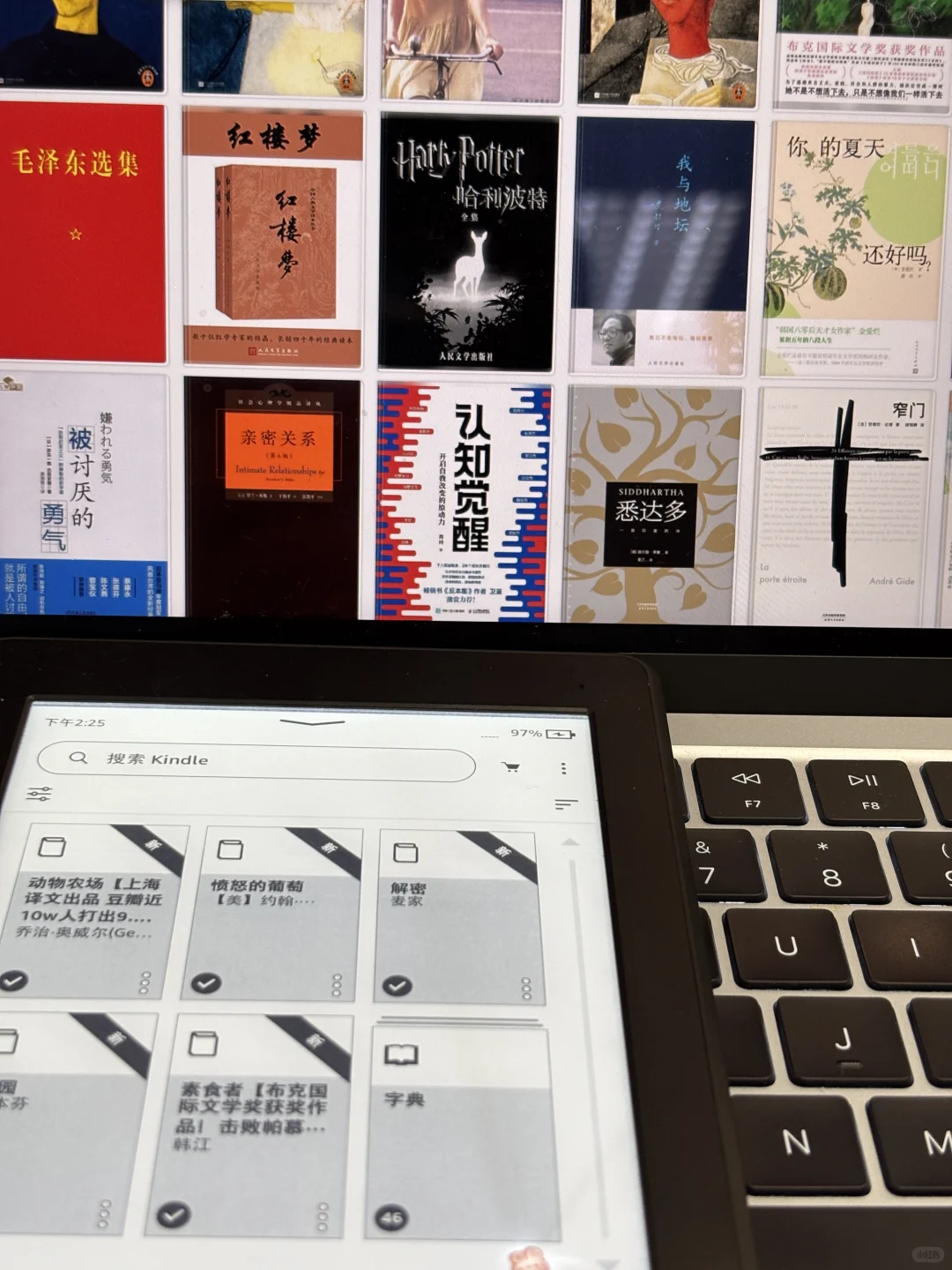 文盲要开始歹毒地读书了