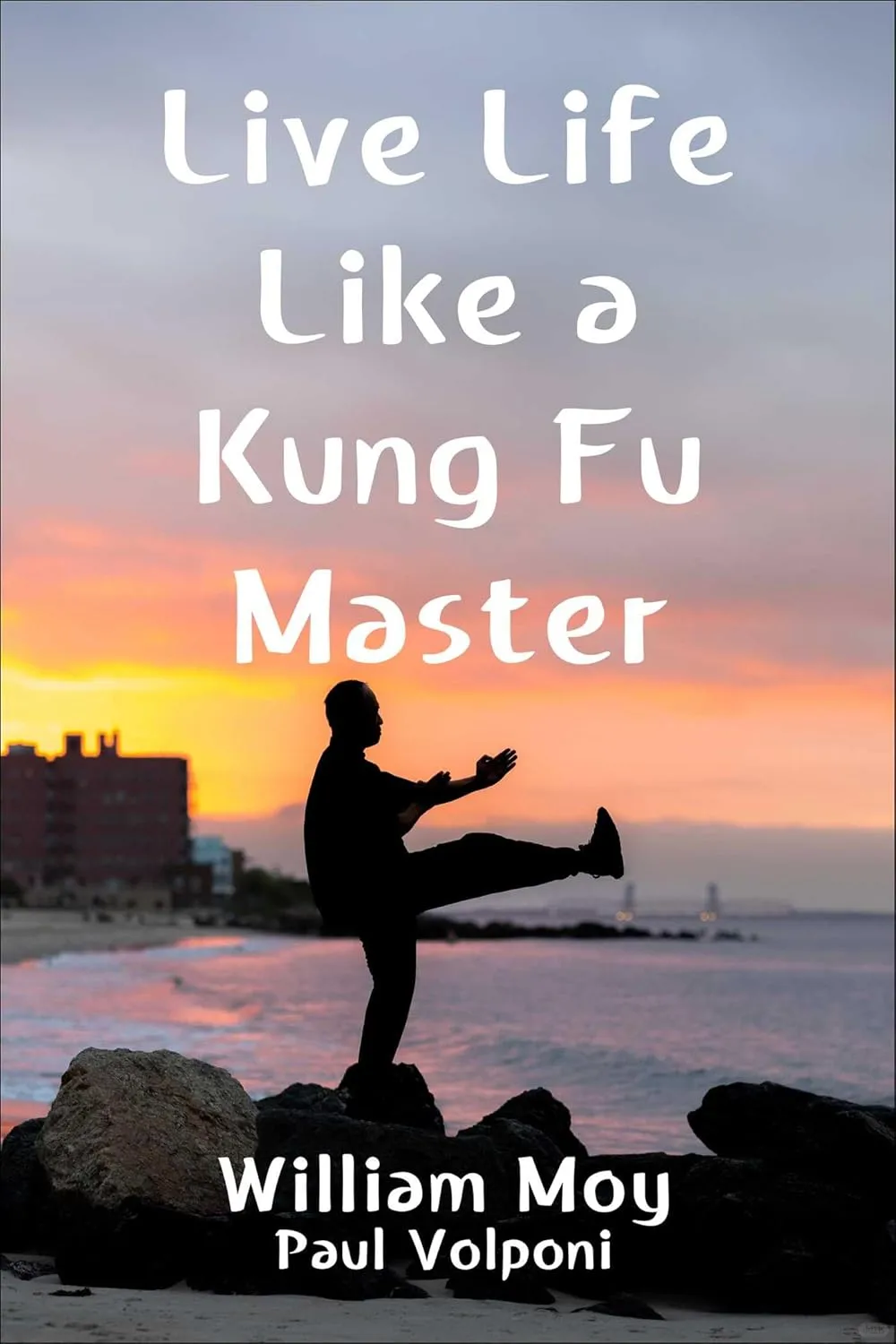 📚新书推荐：《像功夫大师一样生活》