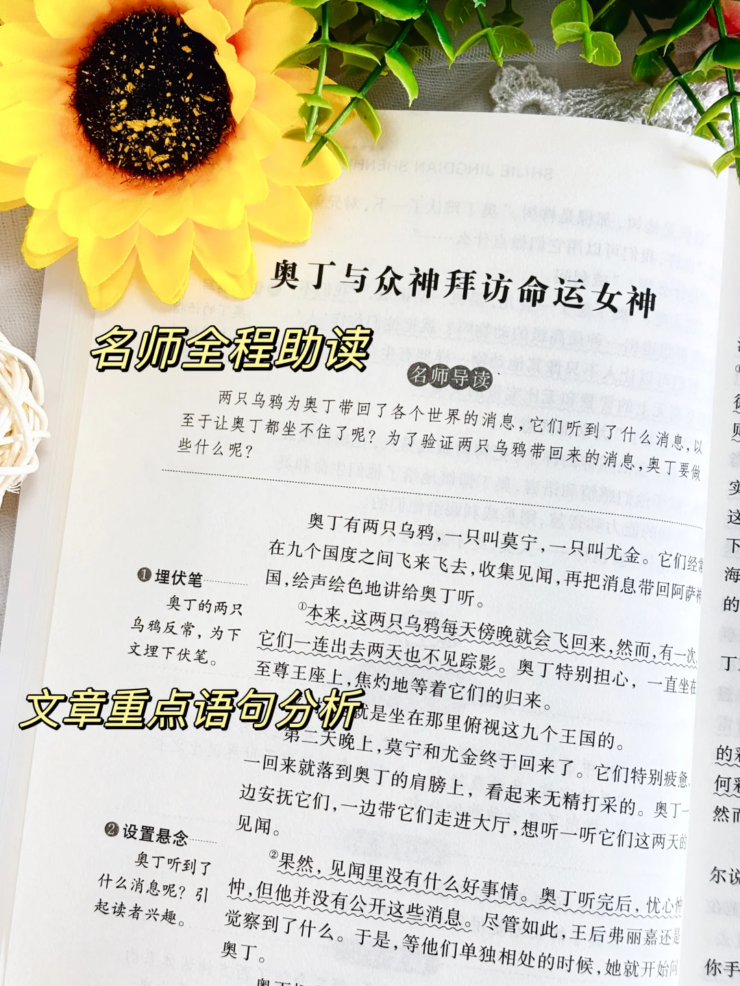 四上快乐读书吧已就位🤩助力小学生开学准备