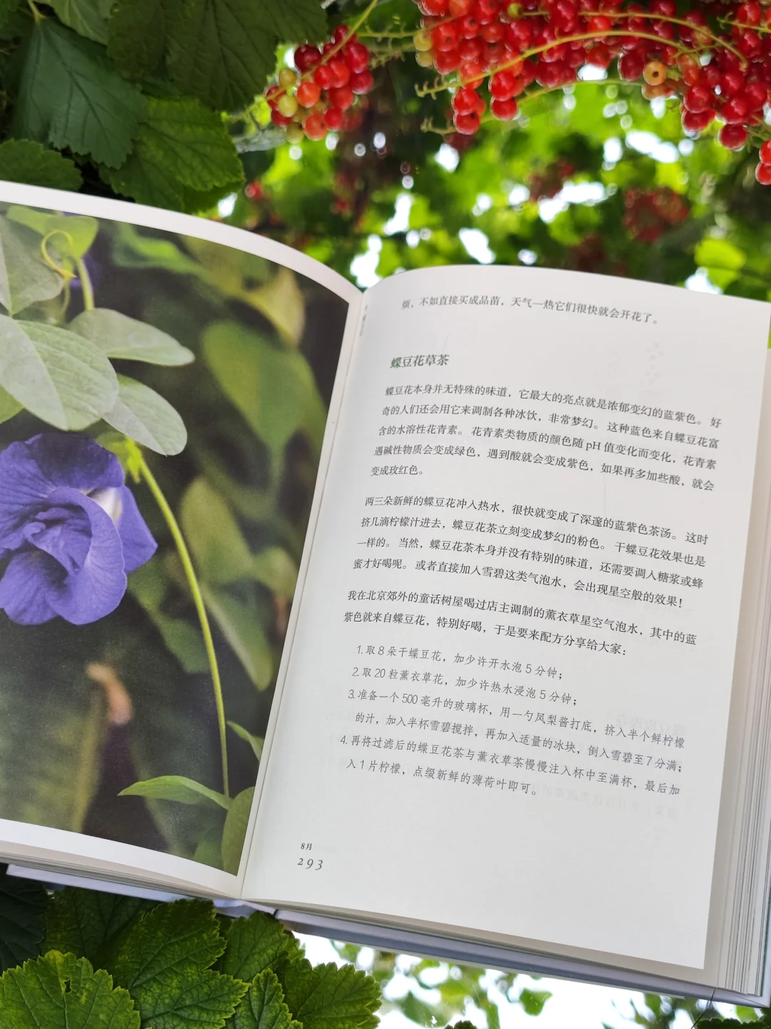 初夏，初见，我的新书