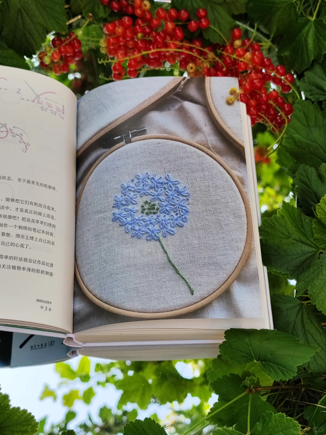 初夏，初见，我的新书