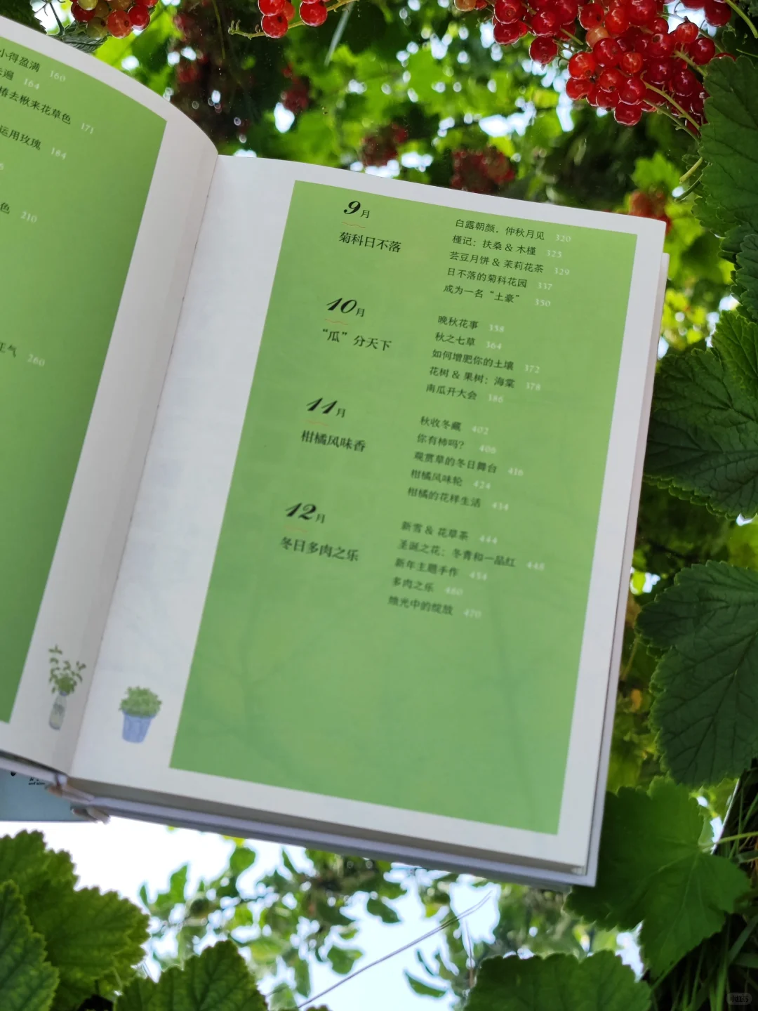 初夏，初见，我的新书