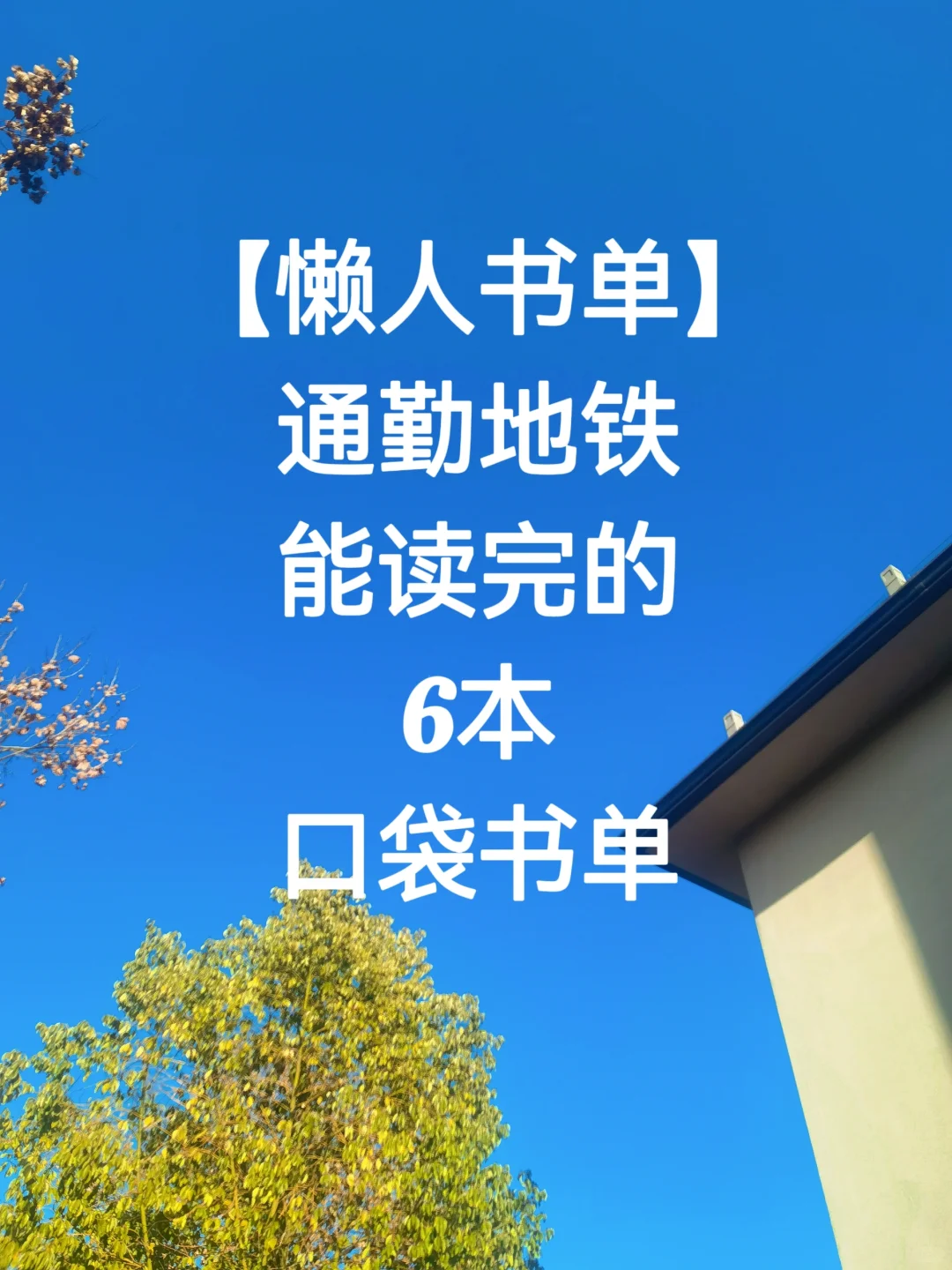「懒人书单」通勤地铁能读完的6本口袋书