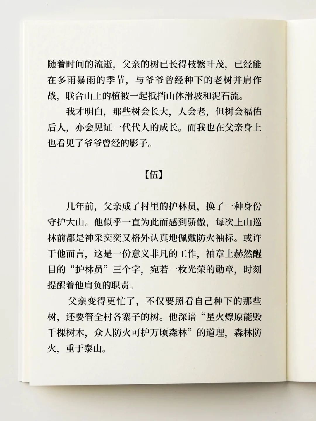 获得三等奖的散文 《父亲的树》