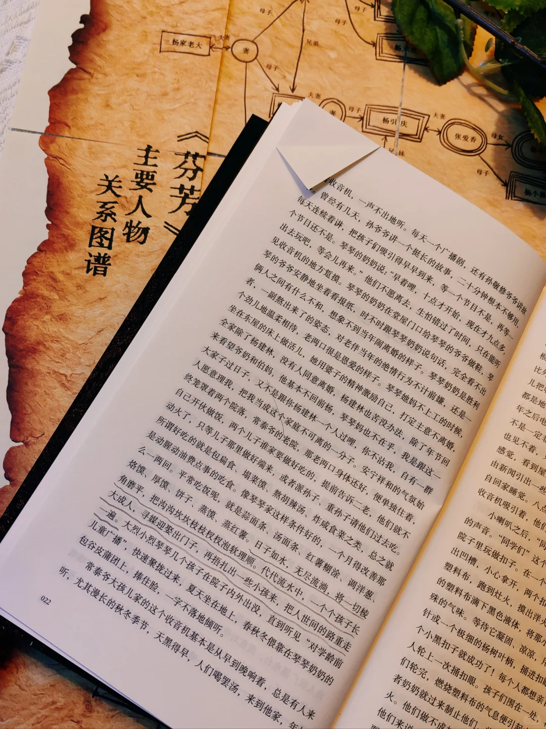 这部书写女性命运的长河小说，值得通宵读完