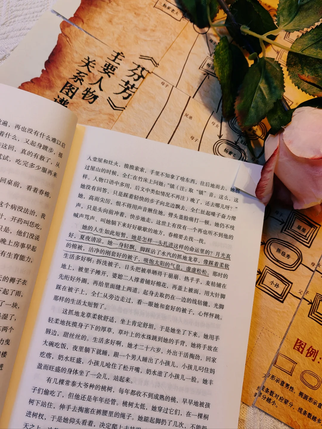 这部书写女性命运的长河小说，值得通宵读完