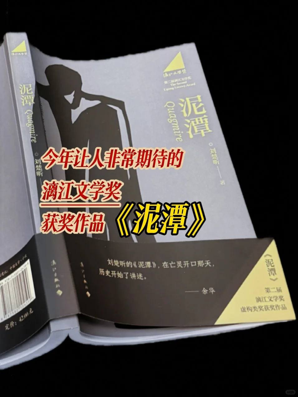 第二届漓江文学奖获奖作品《泥沙》