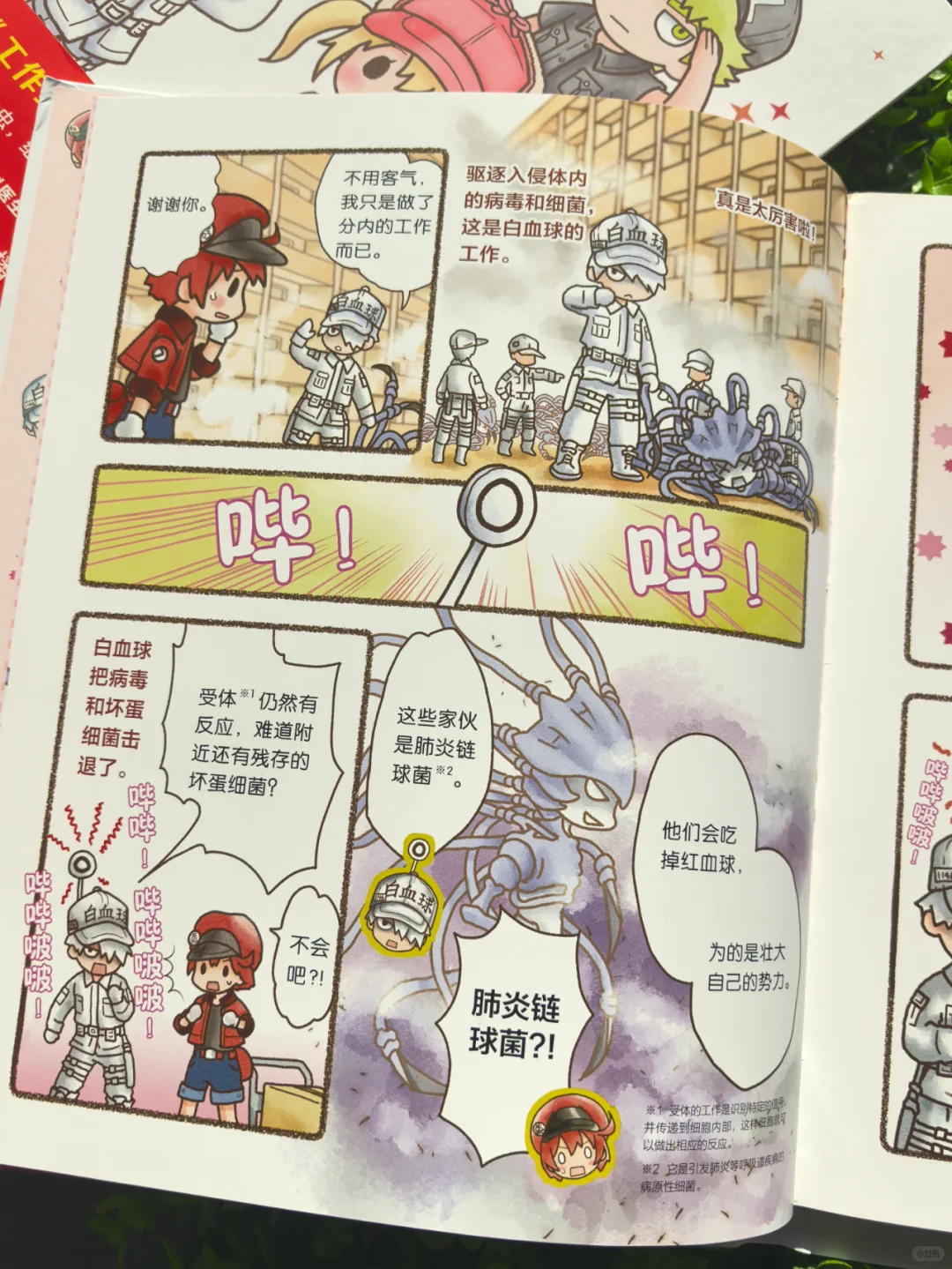 奔走相告《工作细胞》最新两册5+6终于来了