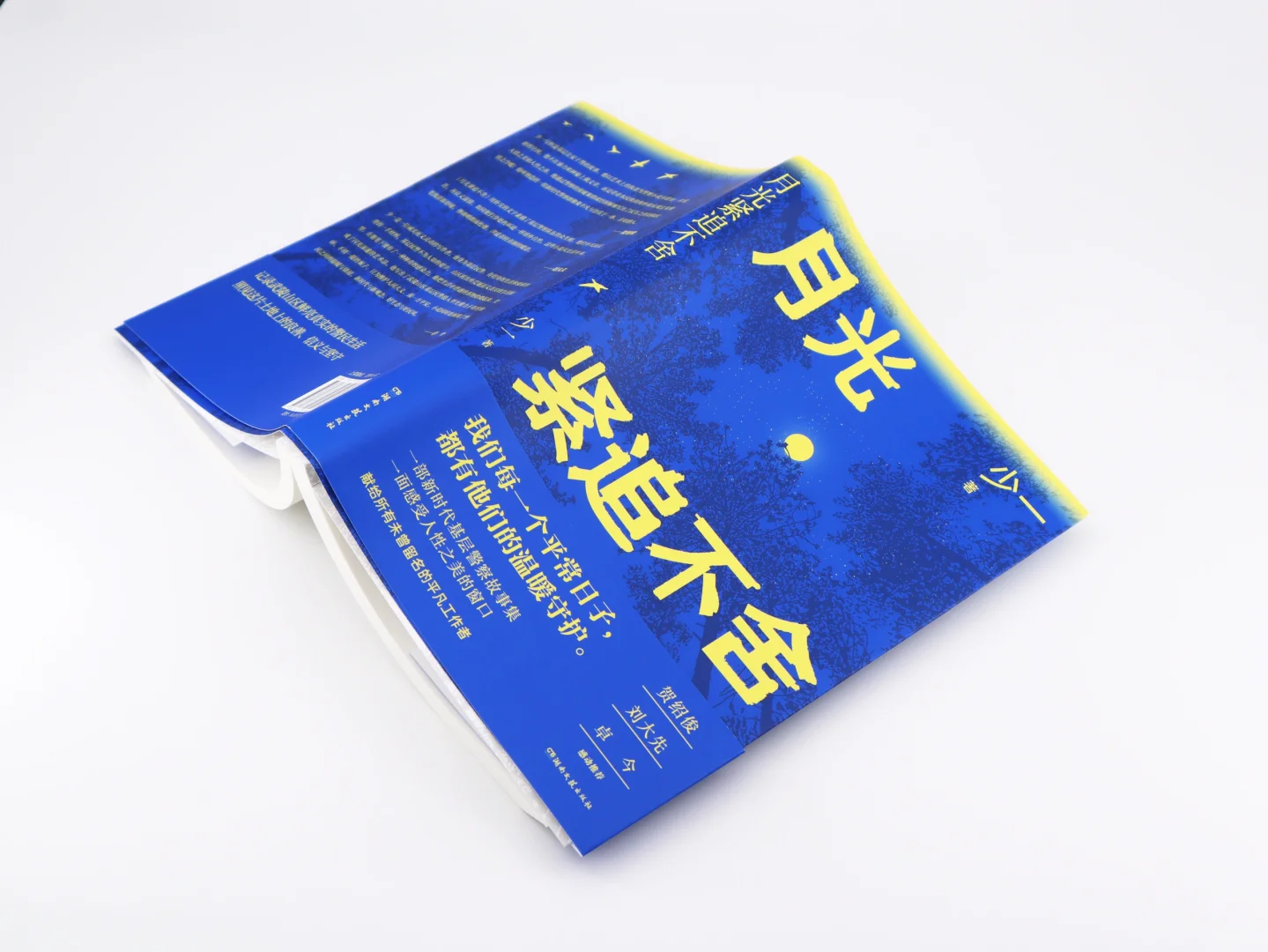 少一《月光紧追不舍》亮相“骏马奖之夜”