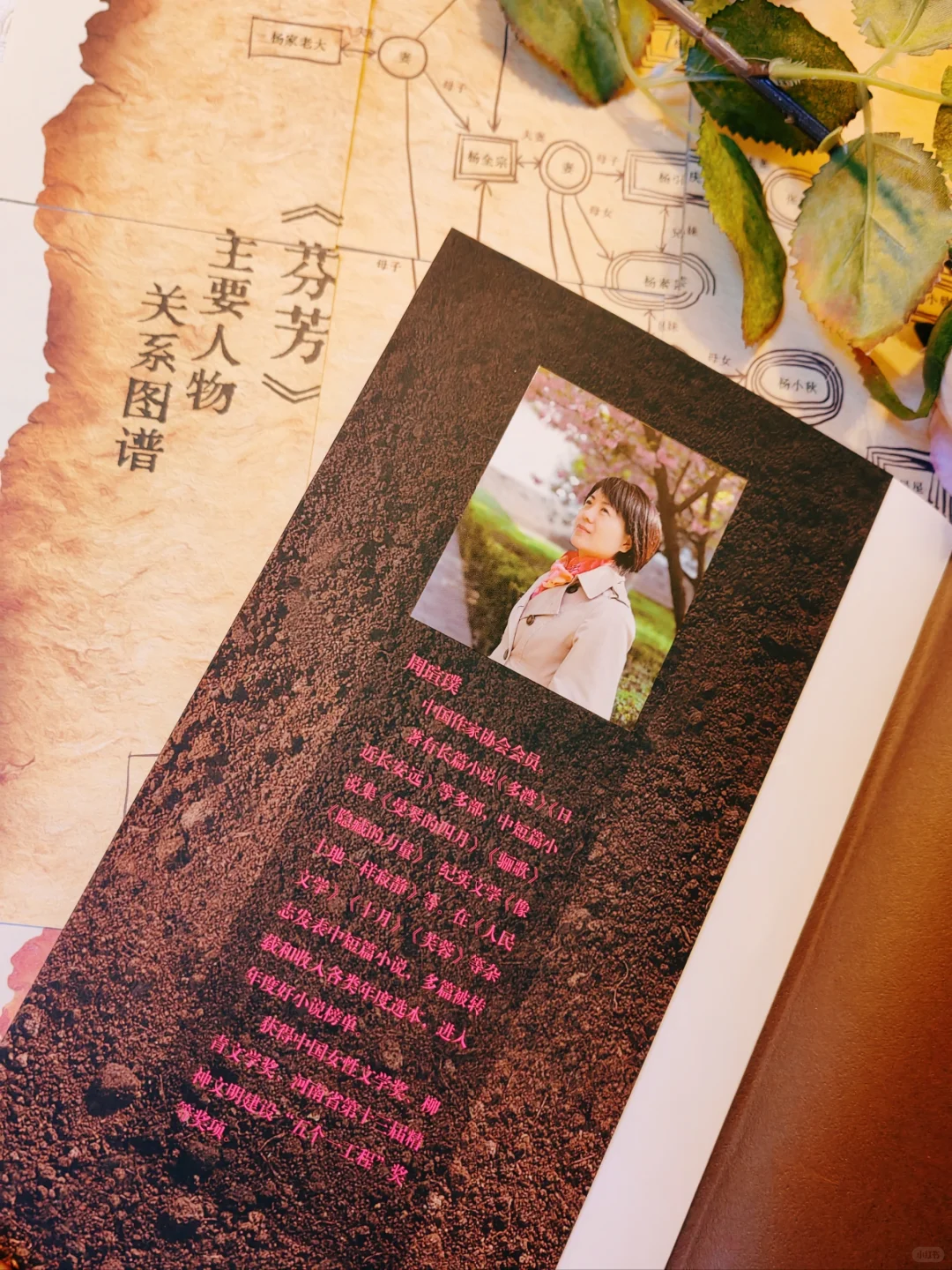 这部书写女性命运的长河小说，值得通宵读完