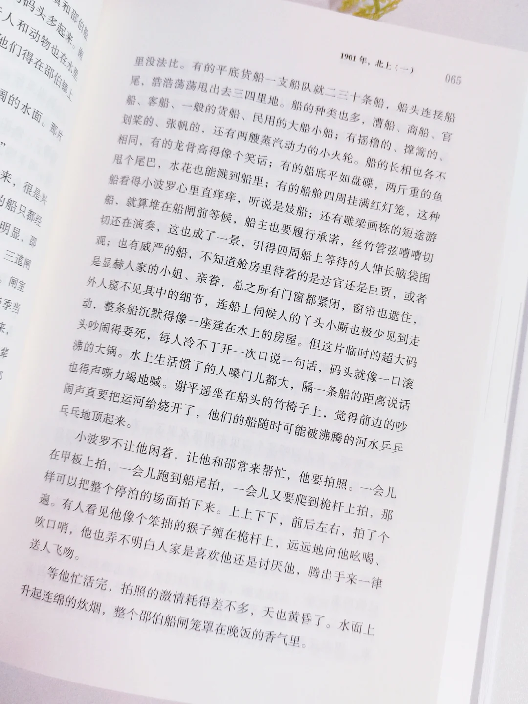 矛盾文学奖|这真是一本后劲很大的书