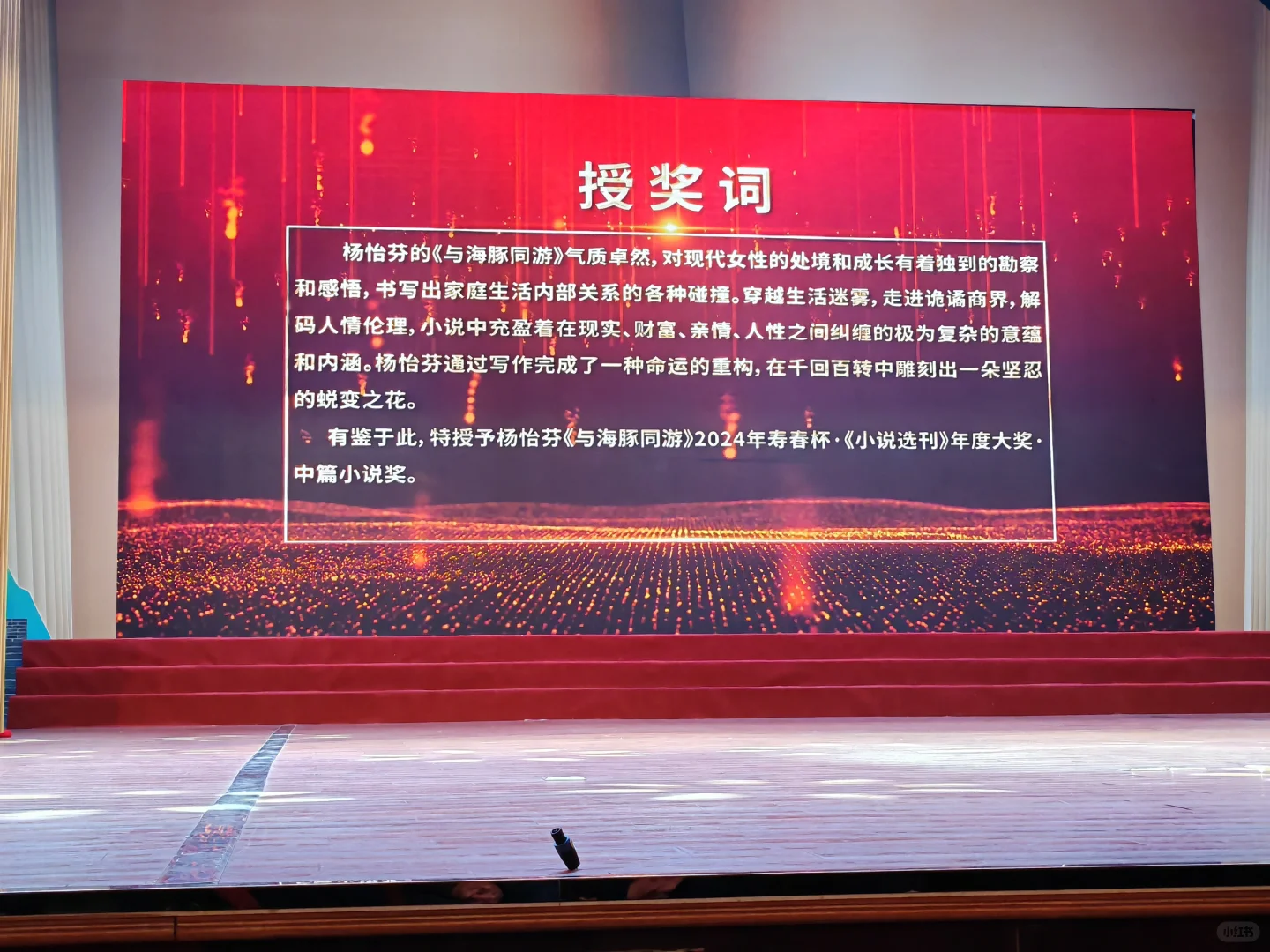 很荣幸，得了《小说选刊》的年度奖