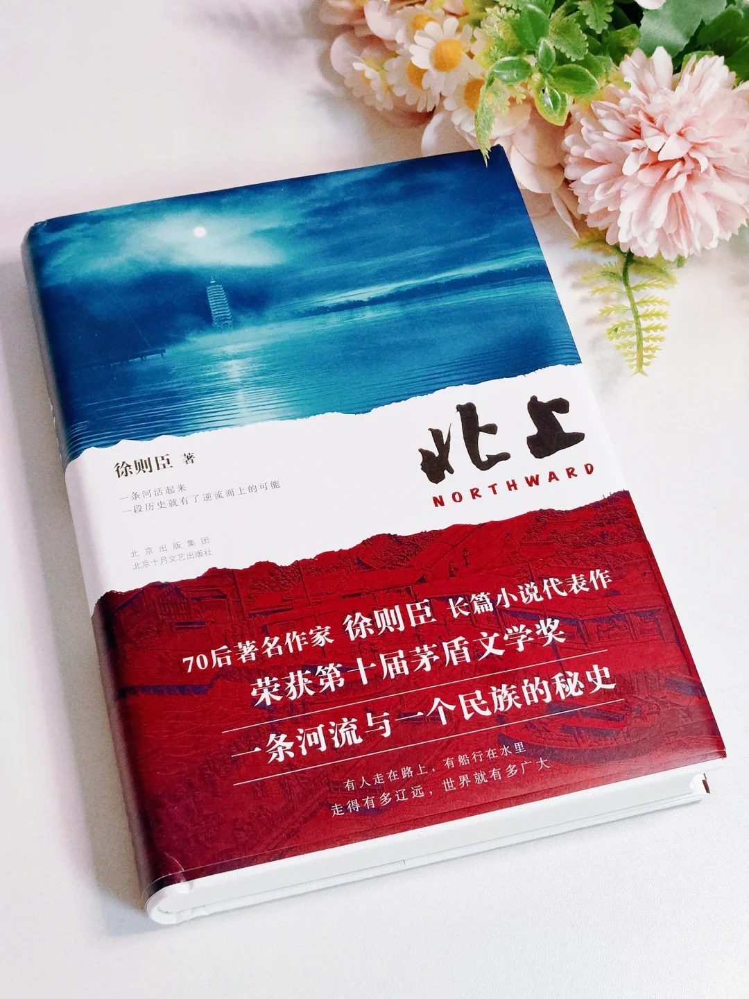矛盾文学奖|这真是一本后劲很大的书