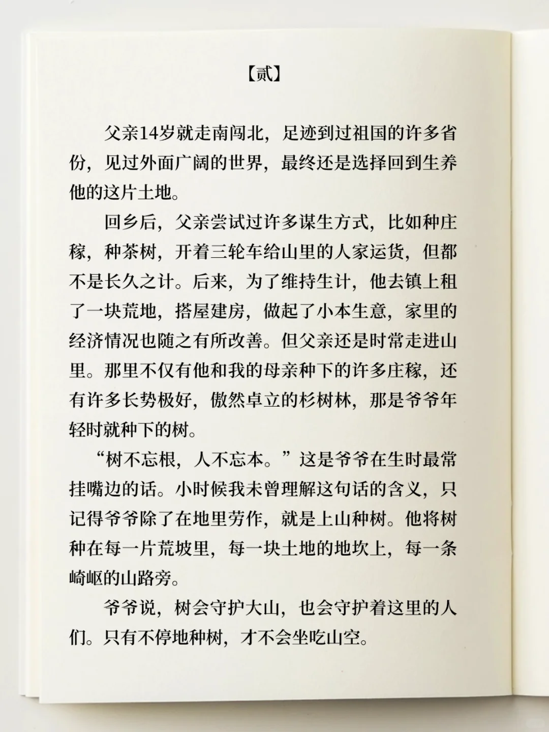 获得三等奖的散文 《父亲的树》