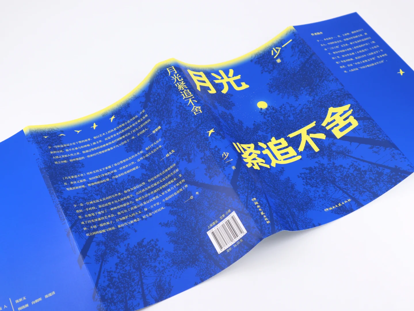 少一《月光紧追不舍》亮相“骏马奖之夜”