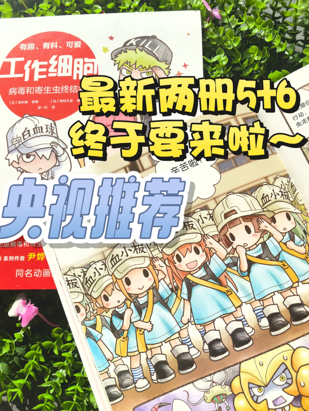 奔走相告《工作细胞》最新两册5+6终于来了