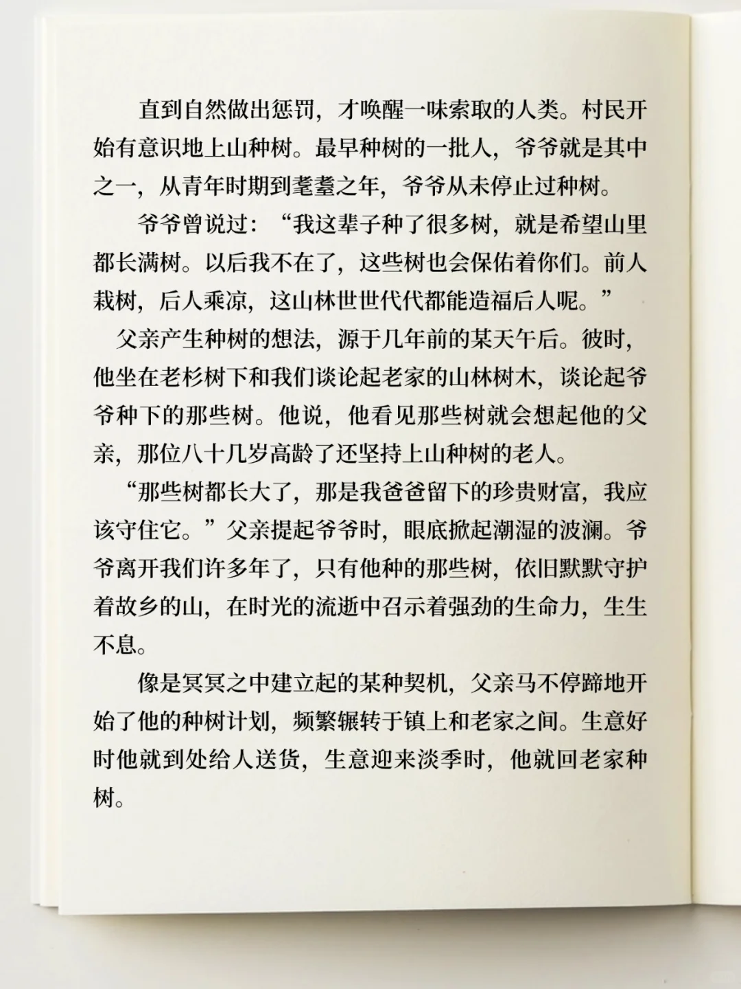 获得三等奖的散文 《父亲的树》