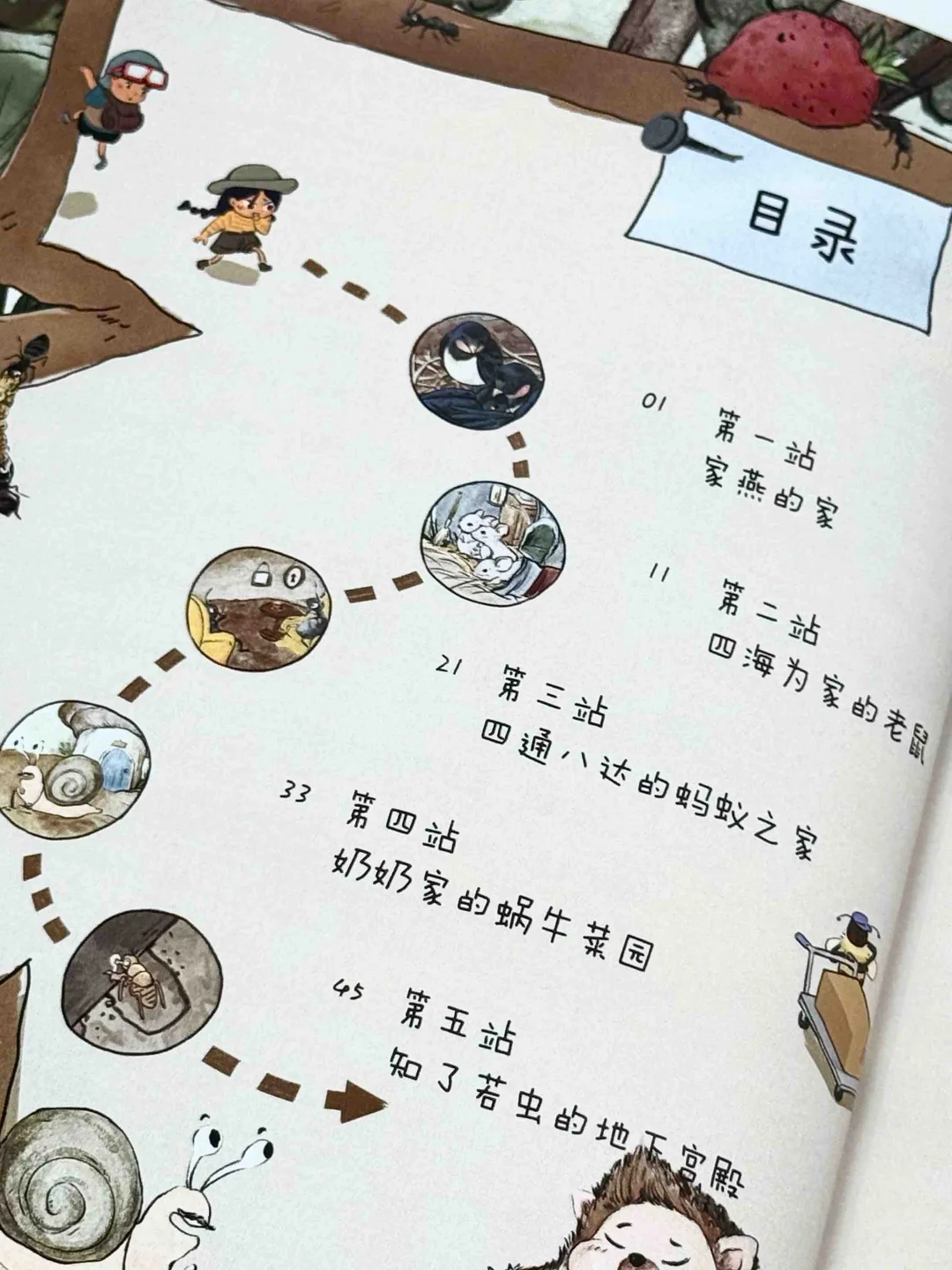 全网首发🔥3-9岁科普绘本新书剧透