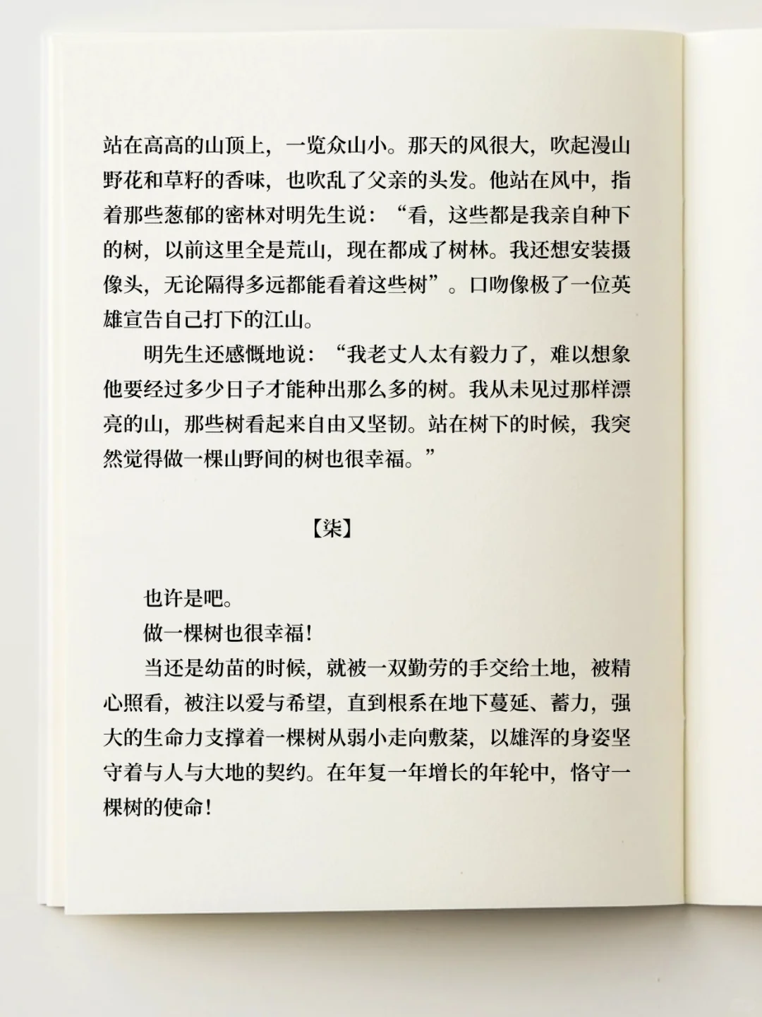 获得三等奖的散文 《父亲的树》
